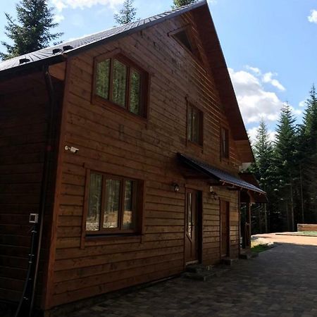 Ялинка Villa Mihovo Kültér fotó