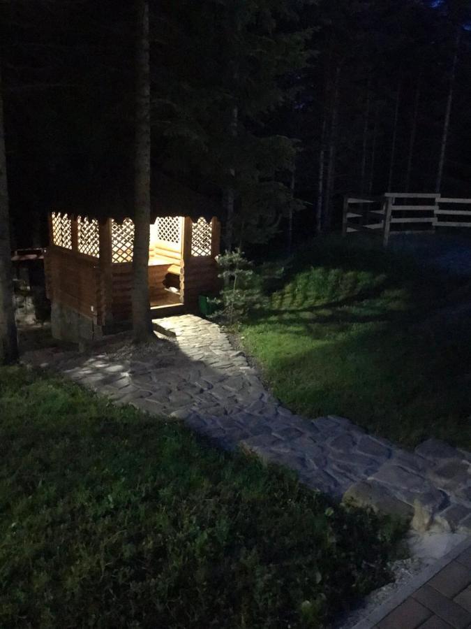 Ялинка Villa Mihovo Kültér fotó