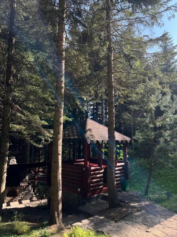 Ялинка Villa Mihovo Kültér fotó