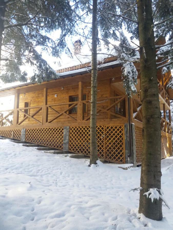 Ялинка Villa Mihovo Kültér fotó