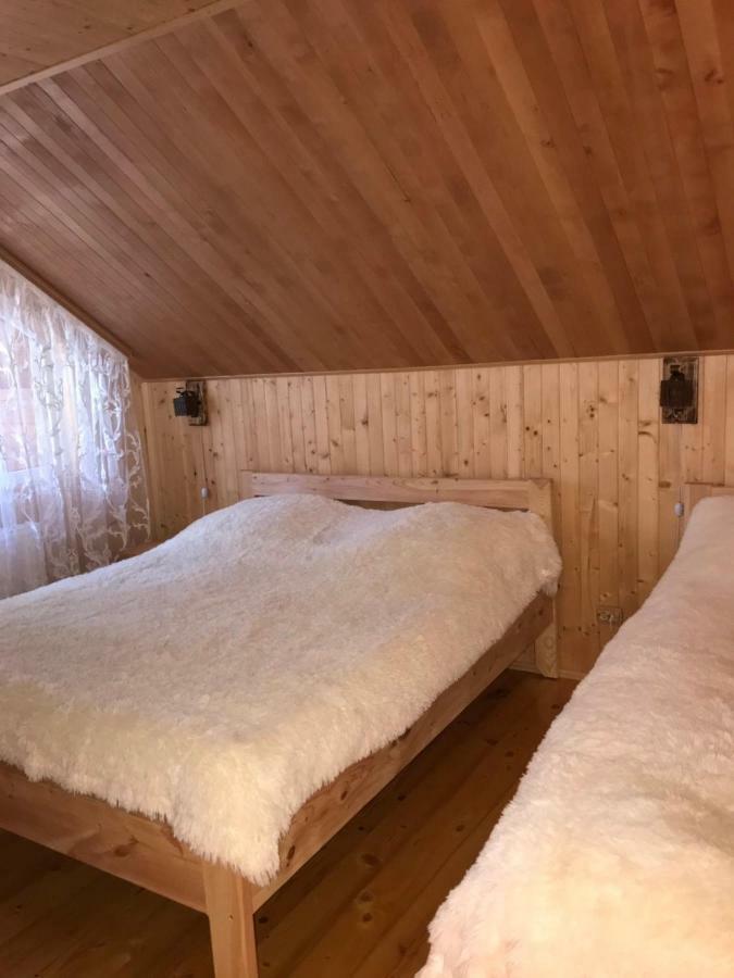 Ялинка Villa Mihovo Kültér fotó
