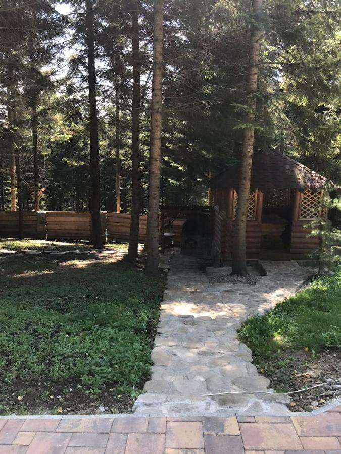Ялинка Villa Mihovo Kültér fotó